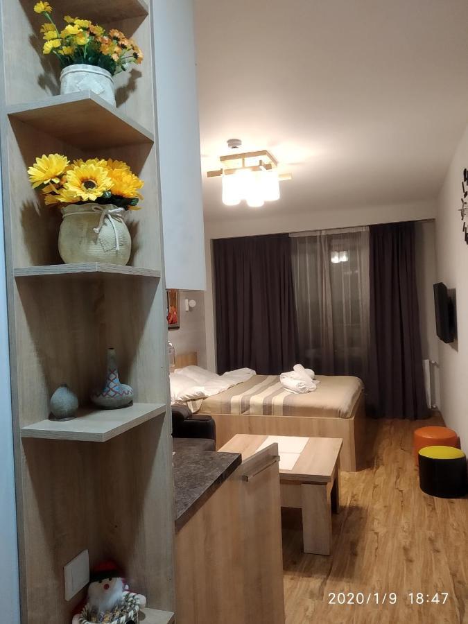 neu gudauri loft2 с видом на горы Экстерьер фото